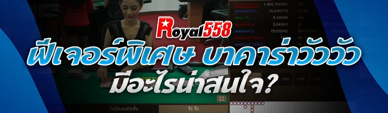 ฟีเจอร์พิเศษ บาคาร่าวัววัว
