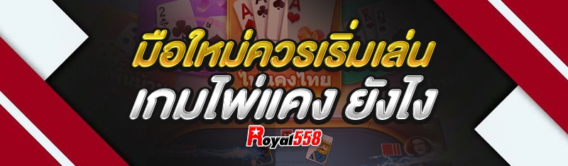 มือใหม่ควรเริ่มเล่น